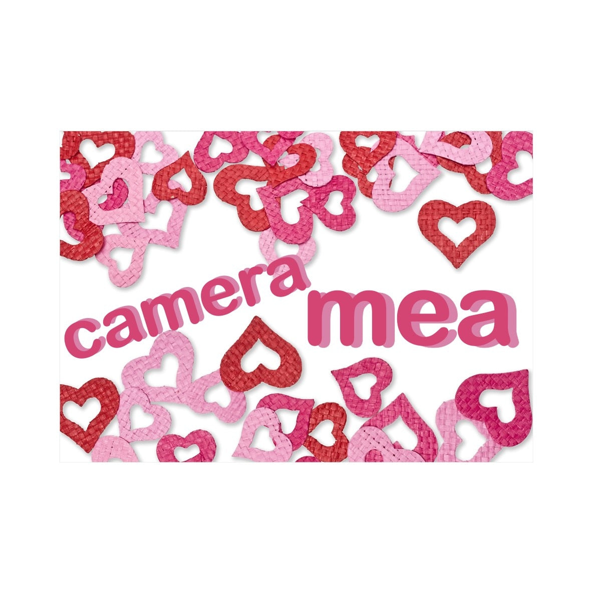 Panou Indicator PVC 4mm "Camera mea, design inimioare" — 30×20cm