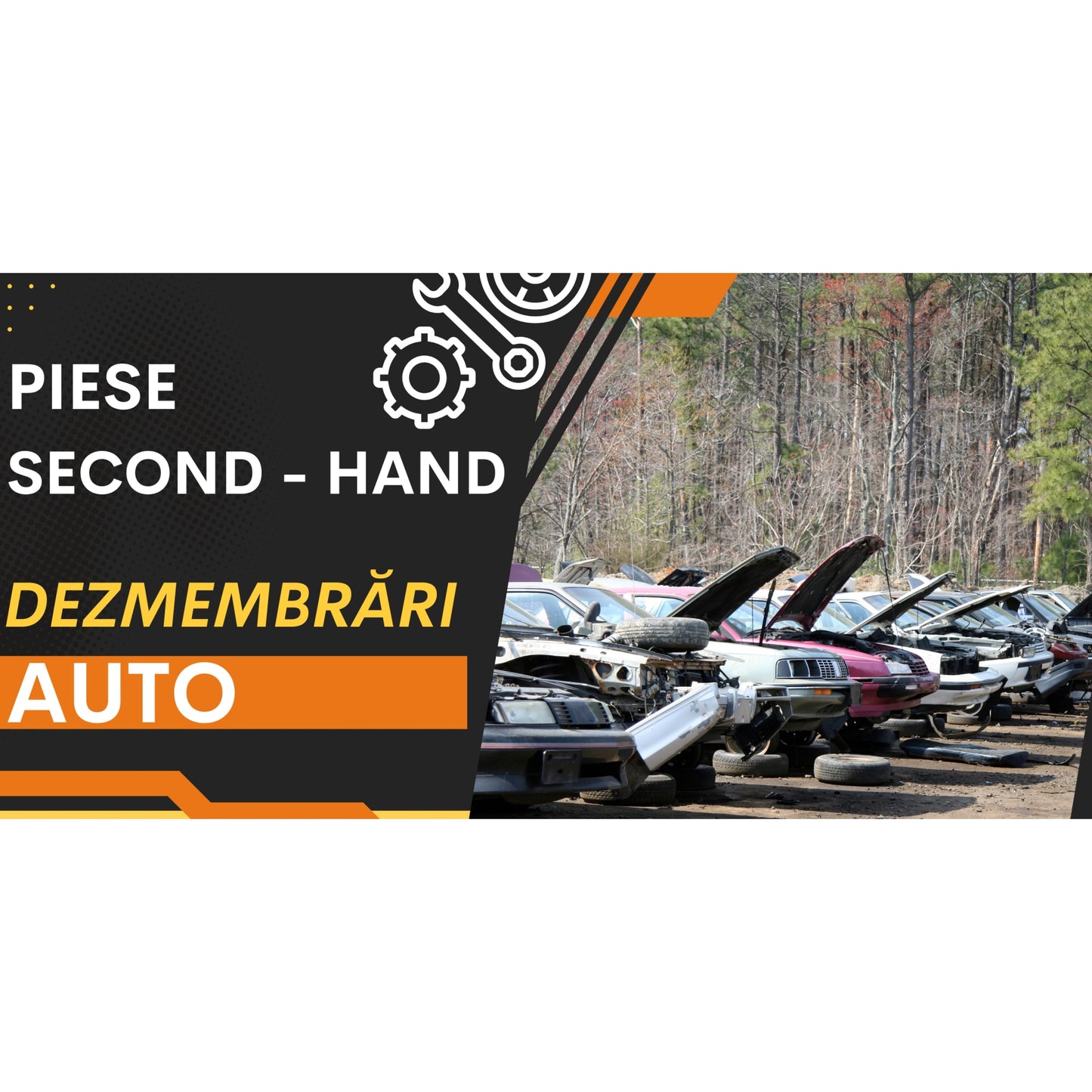 Banner Publicitar "Dezmembrari" — 150×75cm