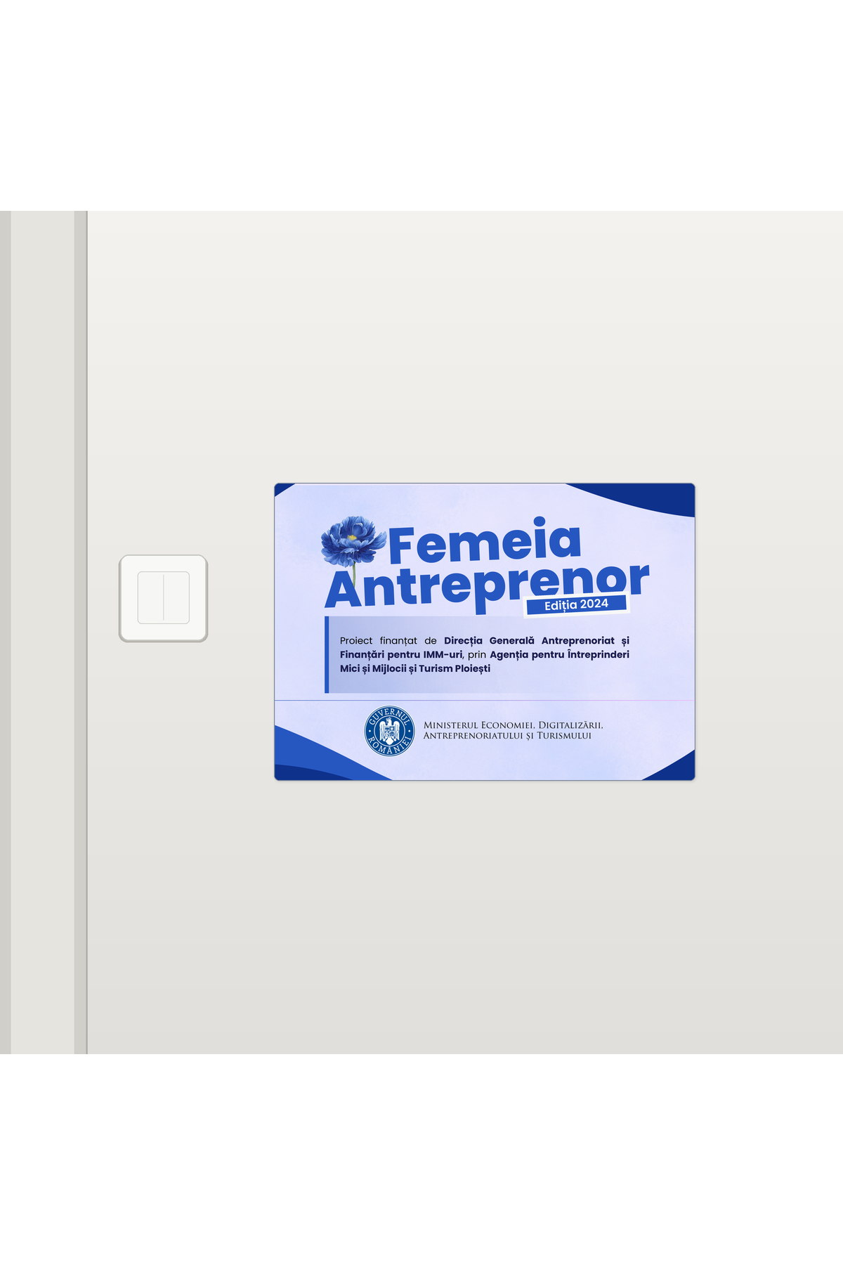 femeia-antreprenor-2024-placute-noi-v02-dbd81f1b891f0bb0