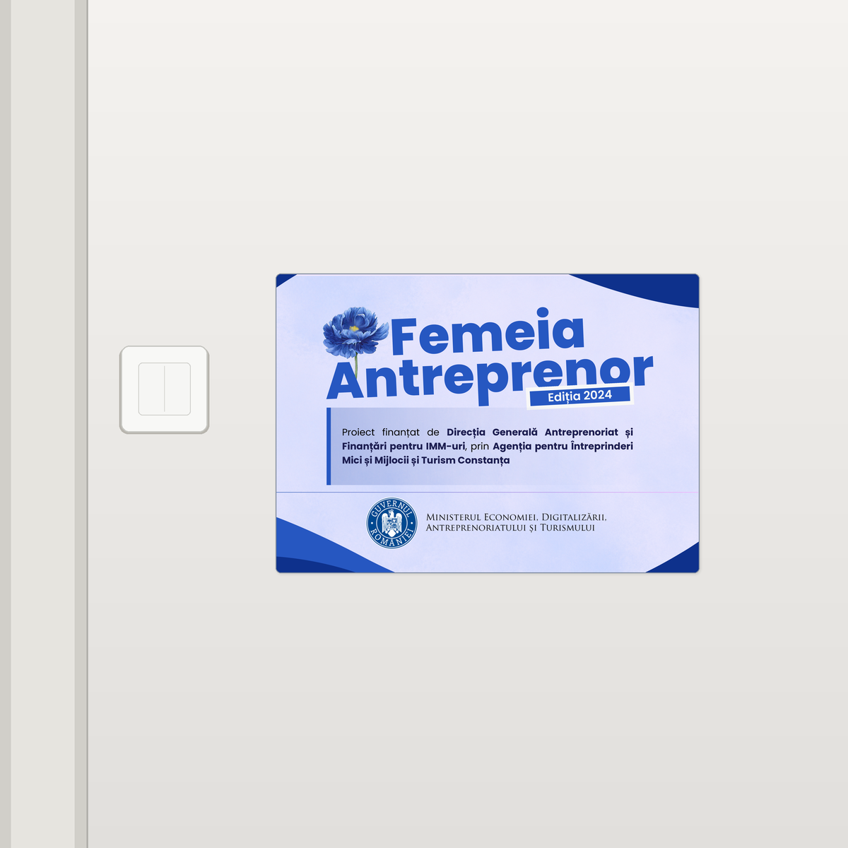 femeia-antreprenor-2024-placute-noi-v02-e34bb2221f31d858