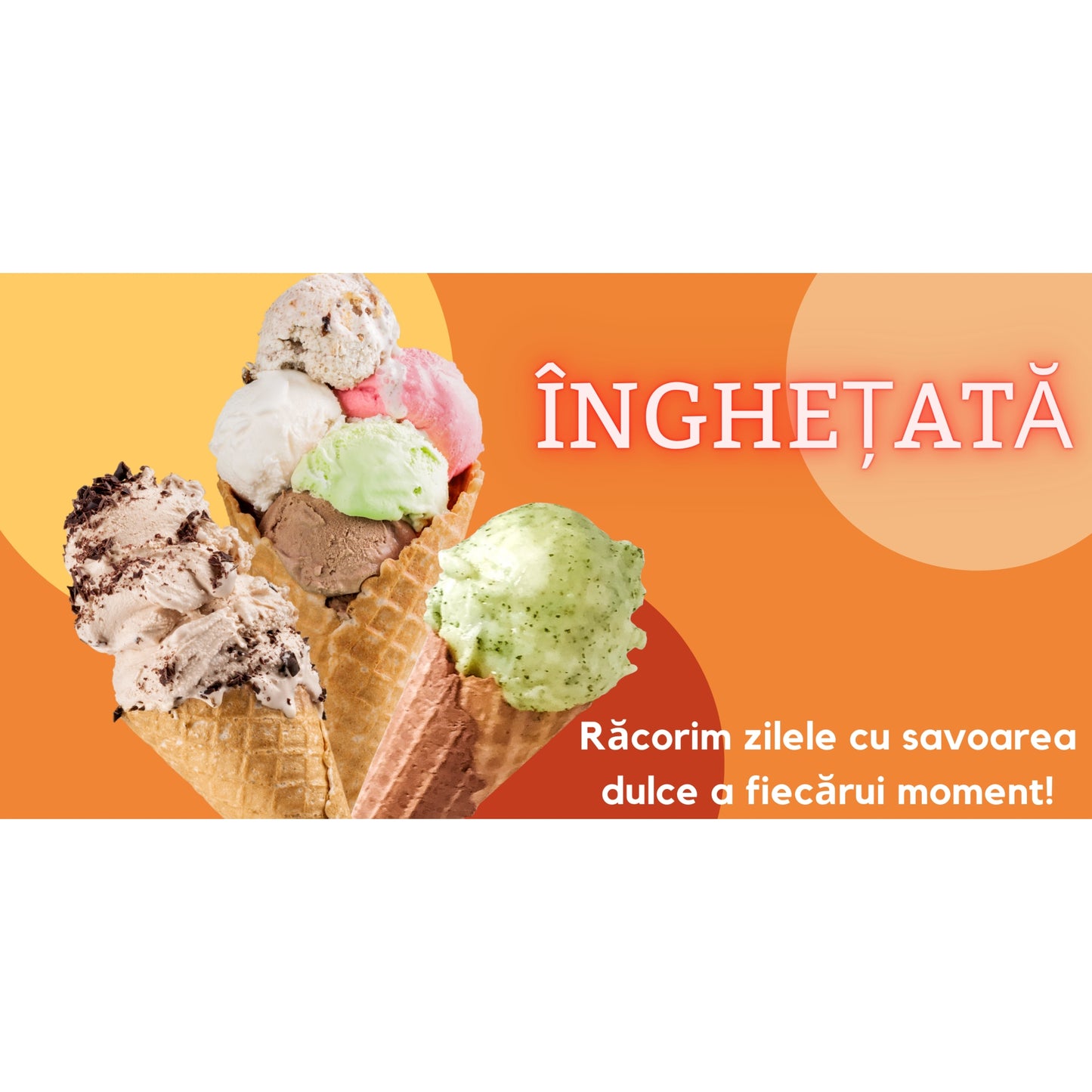 Banner Publicitar "Inghetata - racorim zilele" — 150×75cm