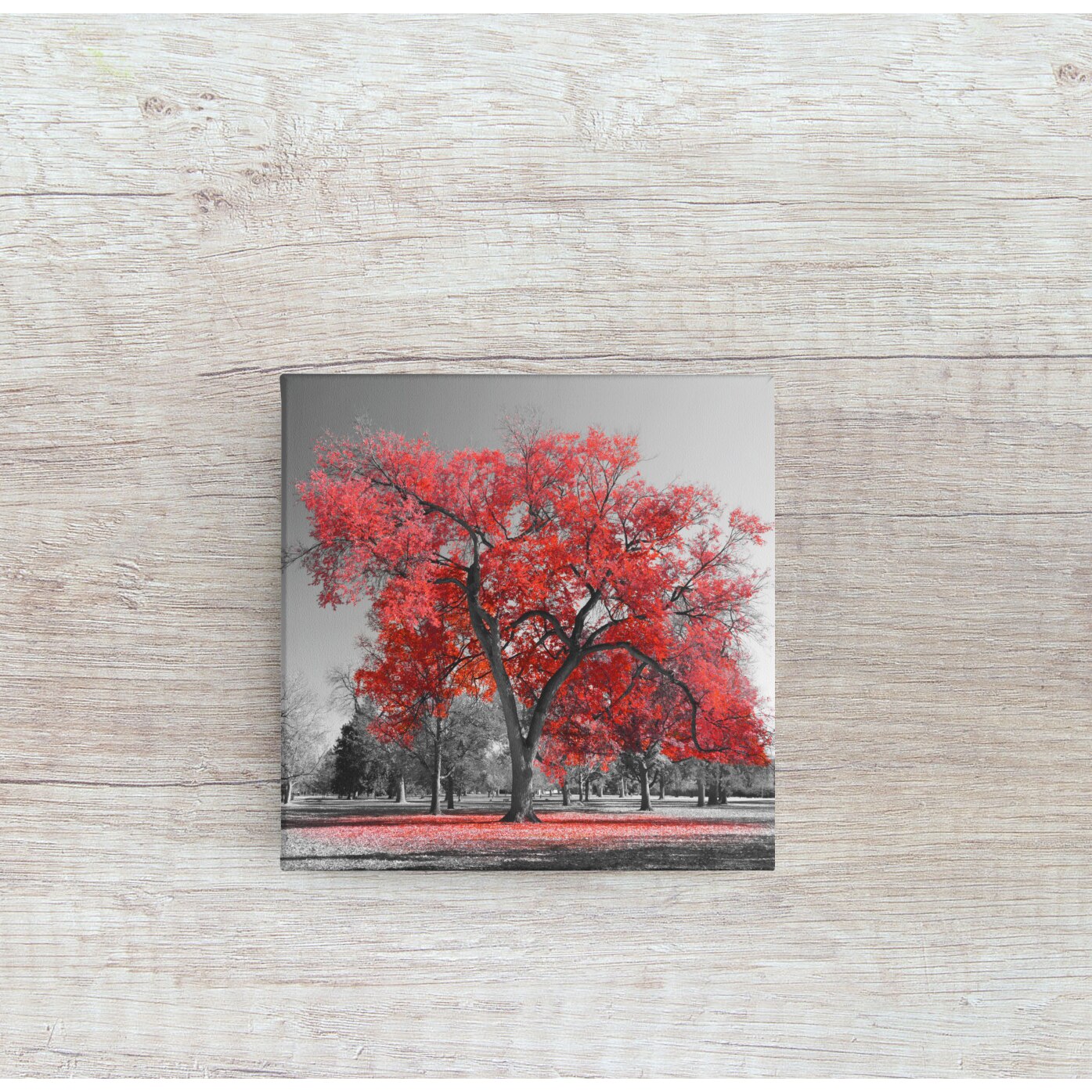 Tablou canvas "PPF Flori 14" - 60x60 cm