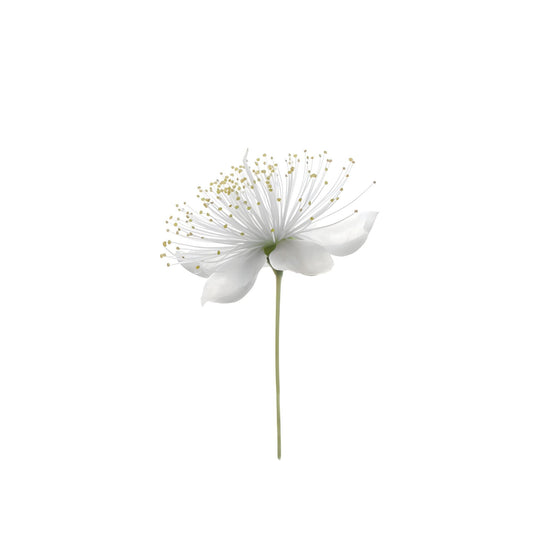 Tablou canvas "White Flower 5" - 60x80 cm