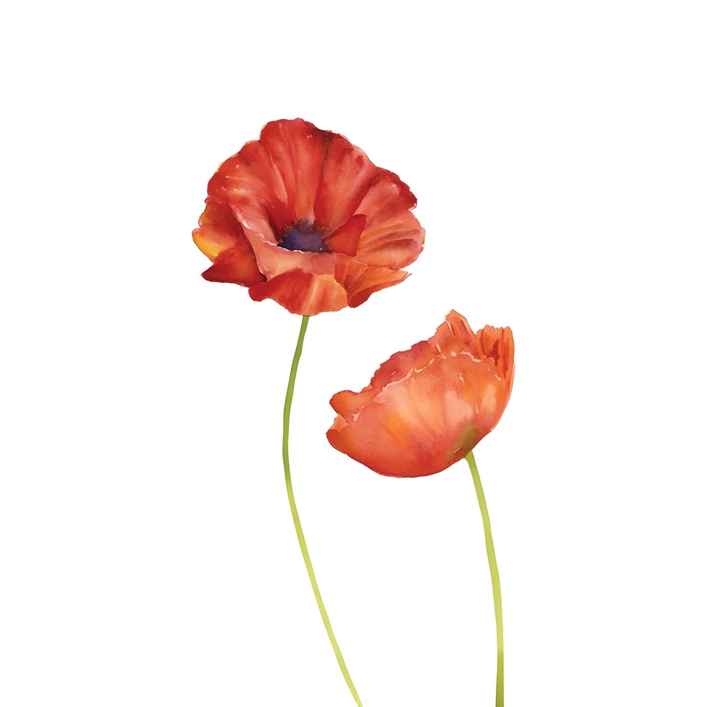Tablou canvas "REDFLOWER 7" - 60x80 cm